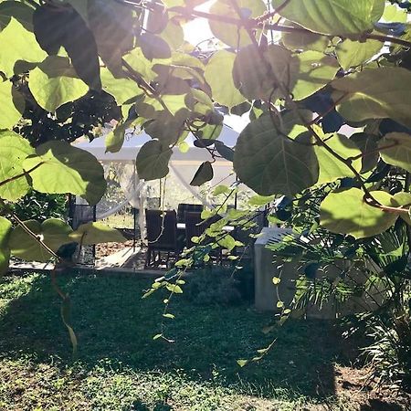 זאדאר Garden Cozy Apartment מראה חיצוני תמונה