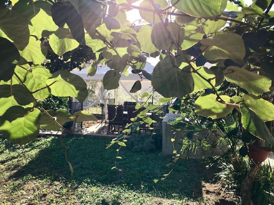 זאדאר Garden Cozy Apartment מראה חיצוני תמונה