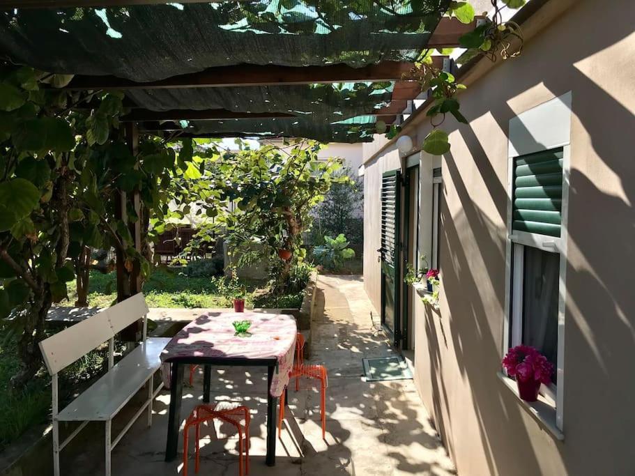 זאדאר Garden Cozy Apartment מראה חיצוני תמונה